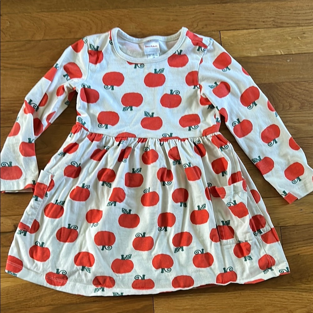 Hanna Andersson pumpkin print dress size 4